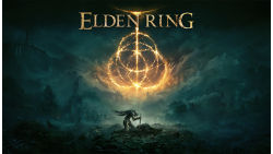 Display FPS for Elden Ring